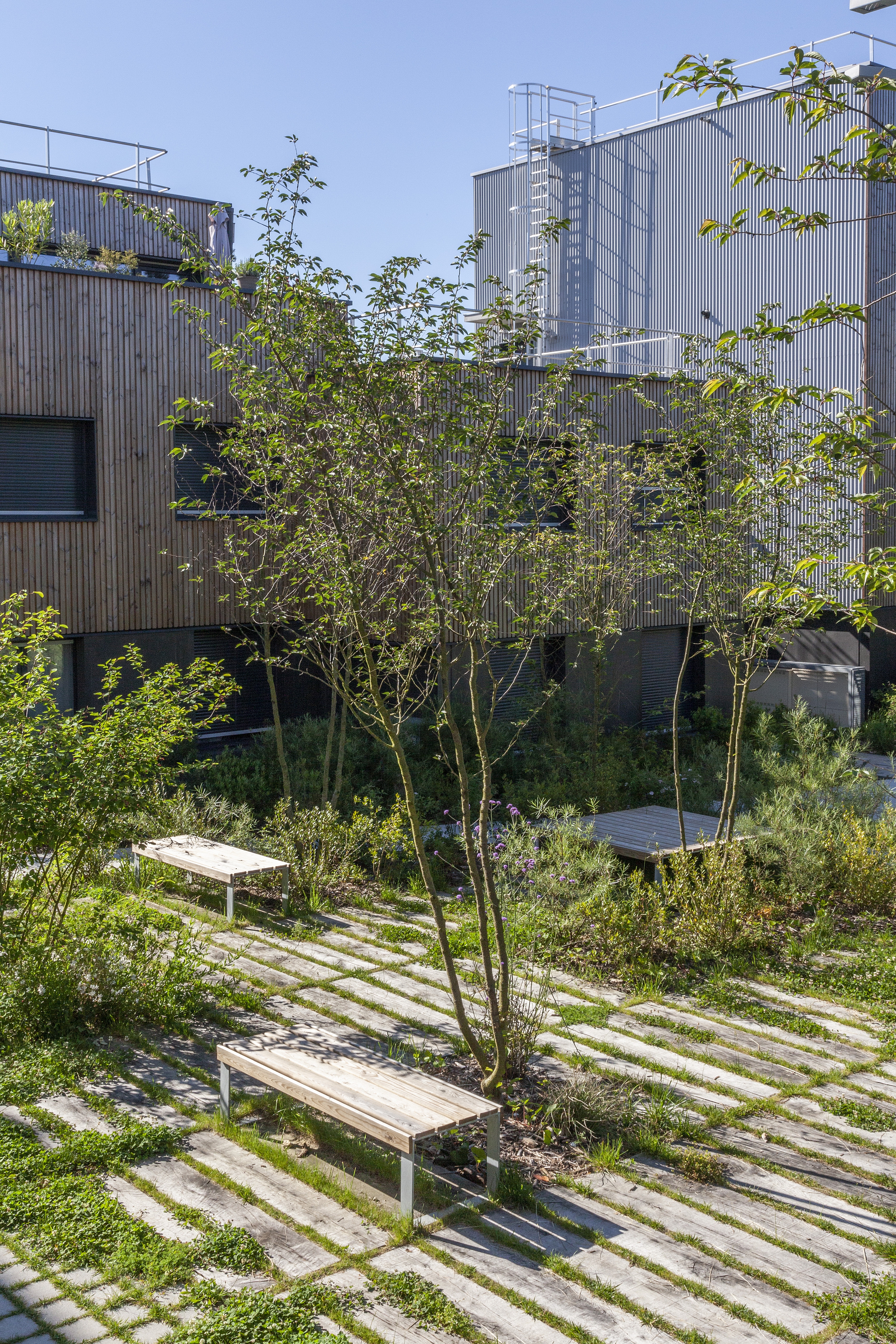 LOG_241_e_pTu_15).jpg