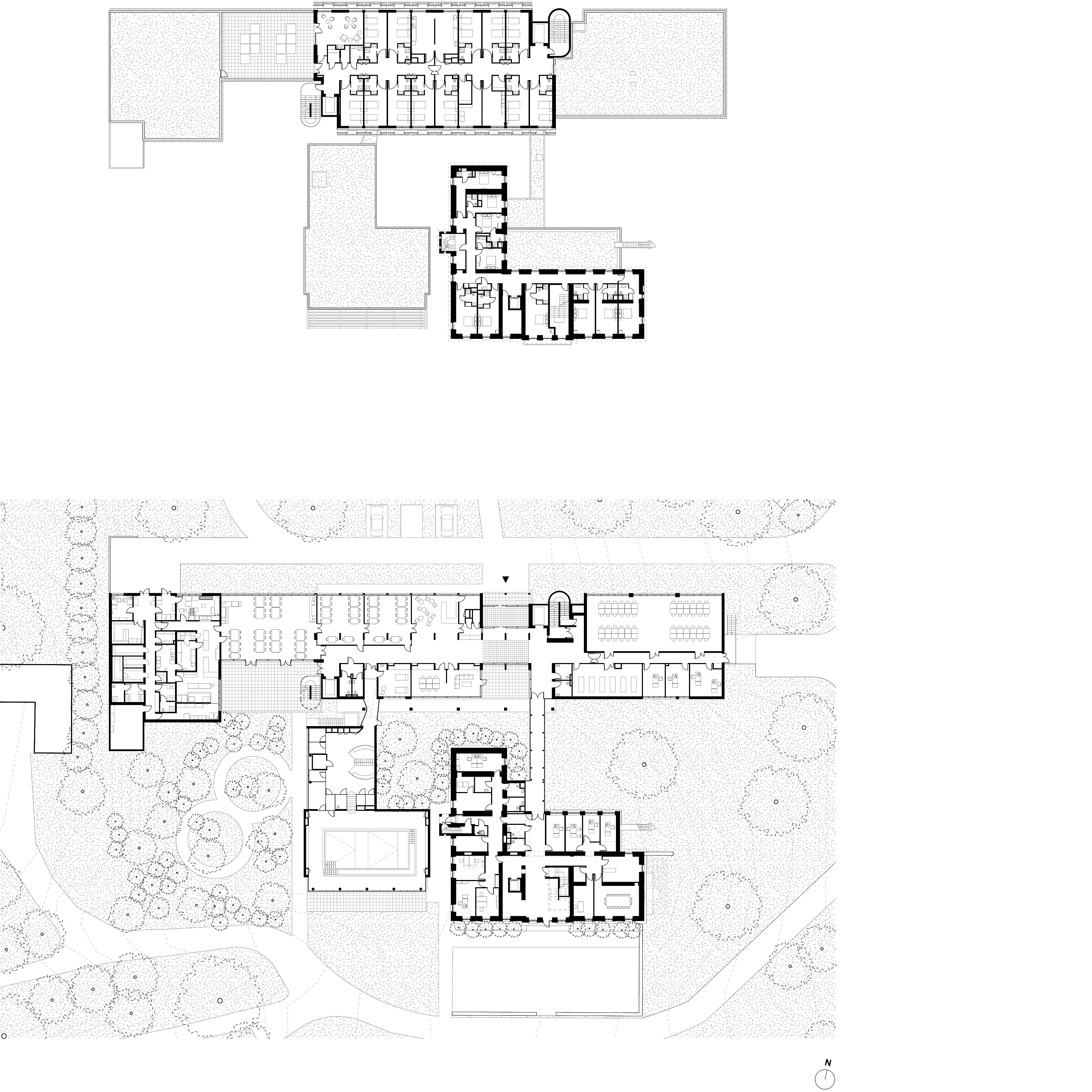 pl_cp107.jpg